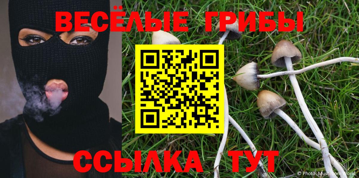 Псилоцибиновые грибы Cubensis  Вход с VPN  Ангарск  Псилоцибиновые грибы прущие грибы 